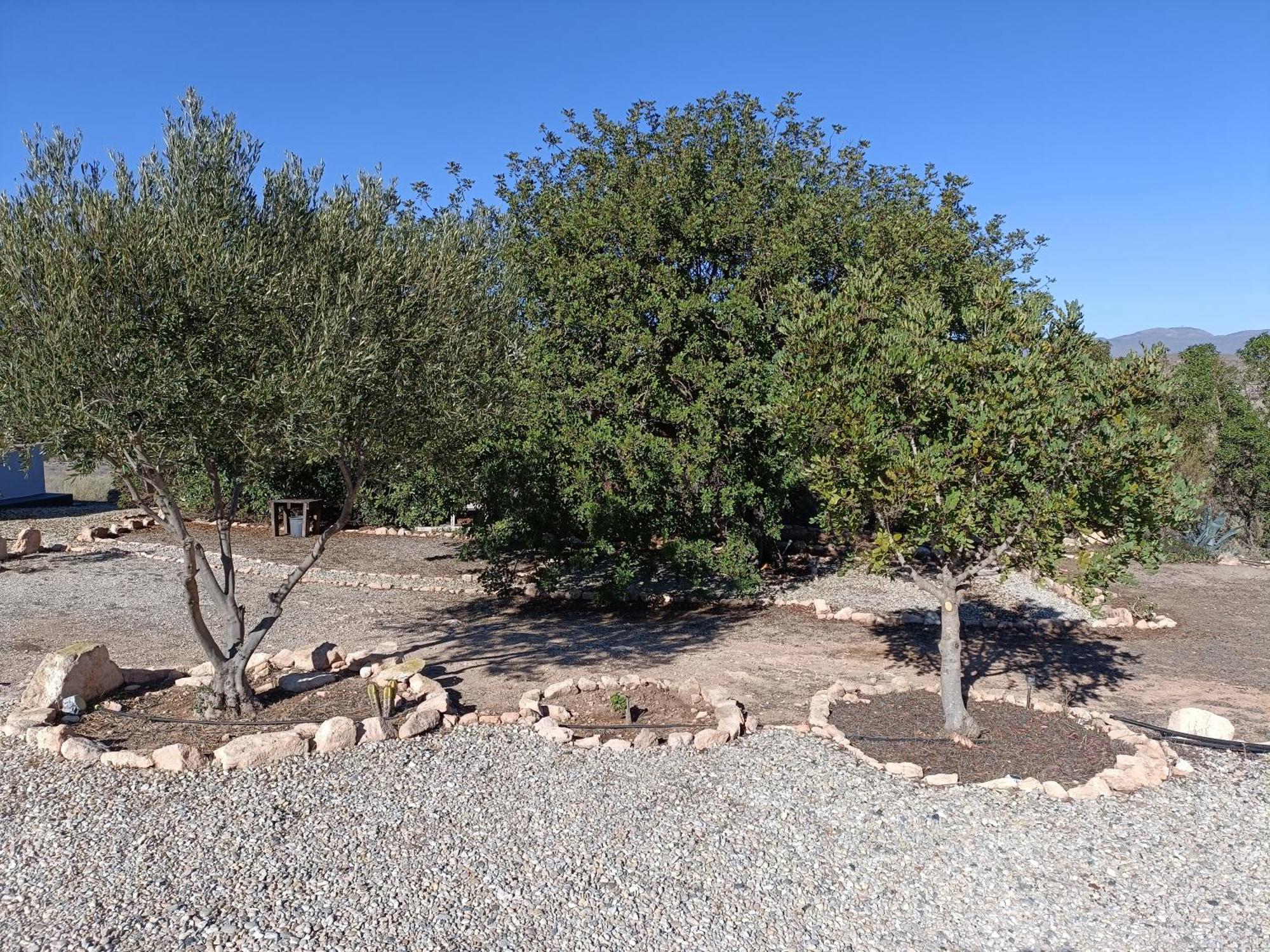 El Cerrillo Βίλα Agua Amarga  Εξωτερικό φωτογραφία